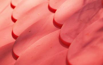 Ewen plastic roof costs